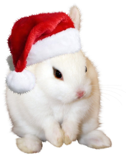 lapin noël