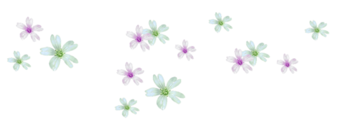 Bon Lundi 0_e75f8_a08236b3_L