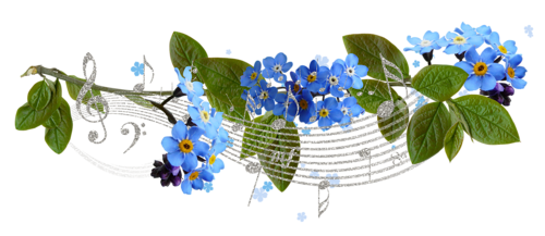 Bon Dimanche 0_ff90a_a5227d02_L_1