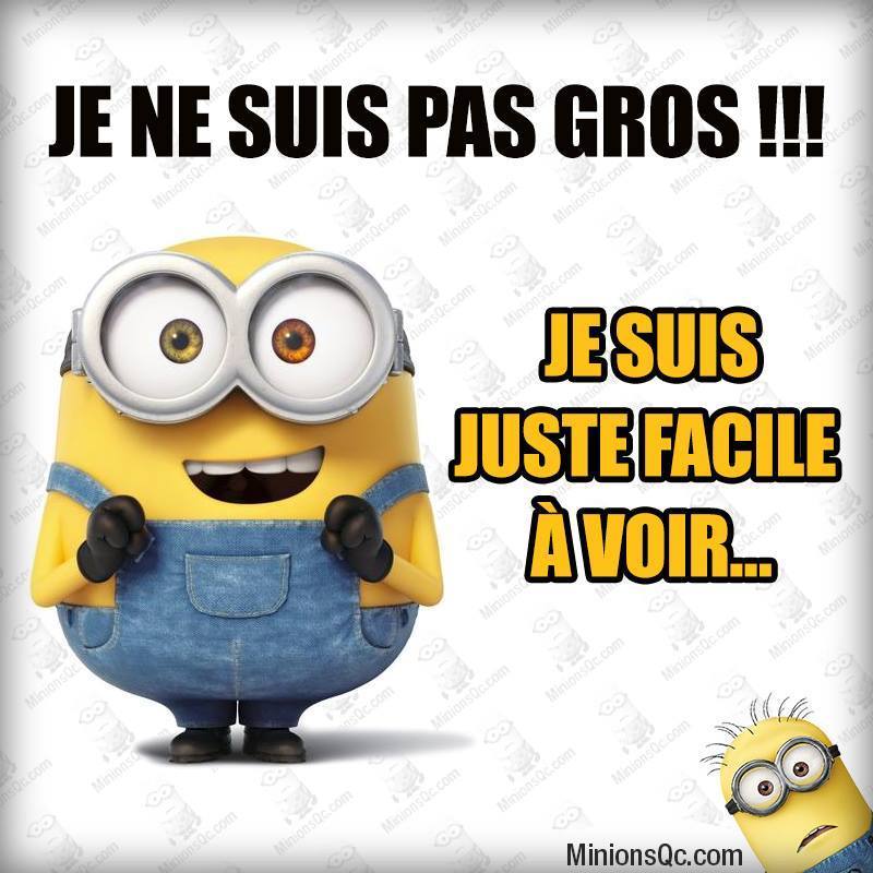 Citation Les Minions