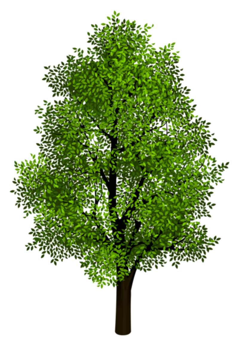 png clipart tree - photo #19
