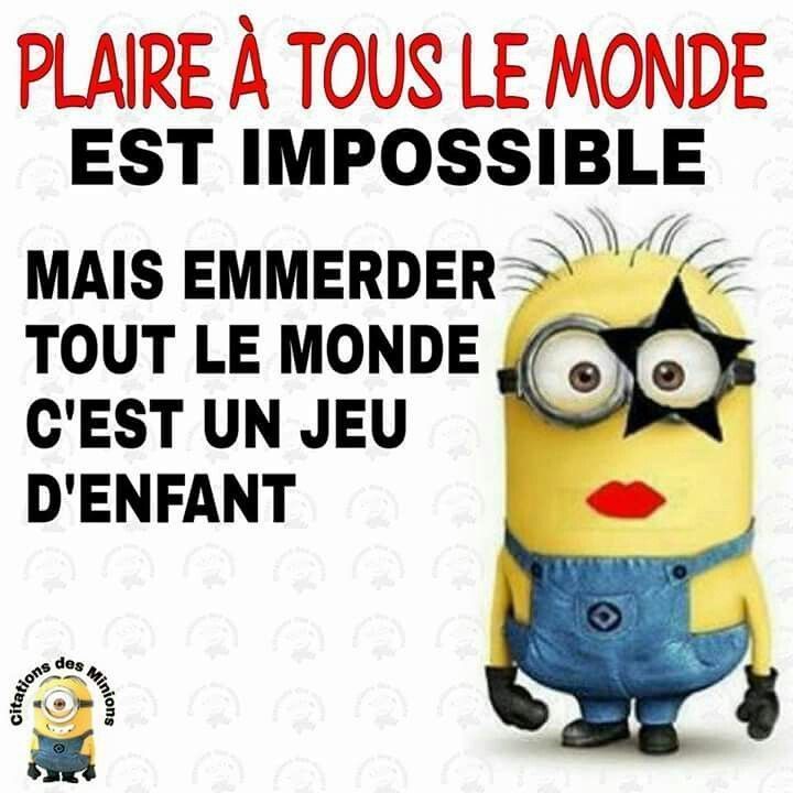 rub citations petits minions 2